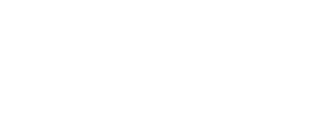 Wise Display Logo